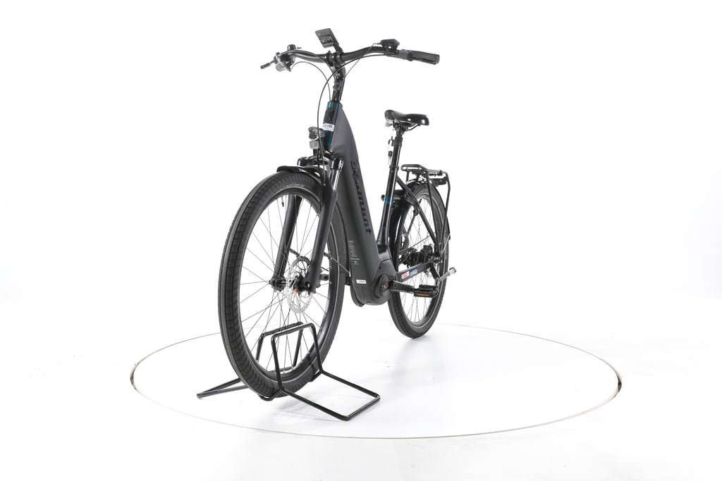 Diamant Beryll Gen.3 City E-Bike Tiefeinsteiger - Image 5