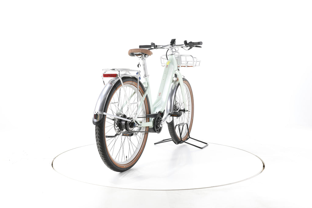Bulls Sturmvogel EVO 5F Belt City E-Bike Tiefeinsteiger - Image 11