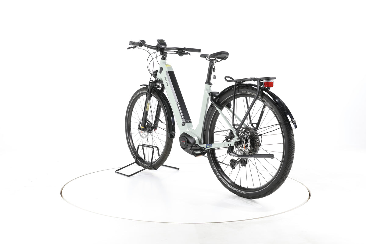 Raleigh Dundee 11 Trekking E-Bike Tiefeinsteiger - Image 9