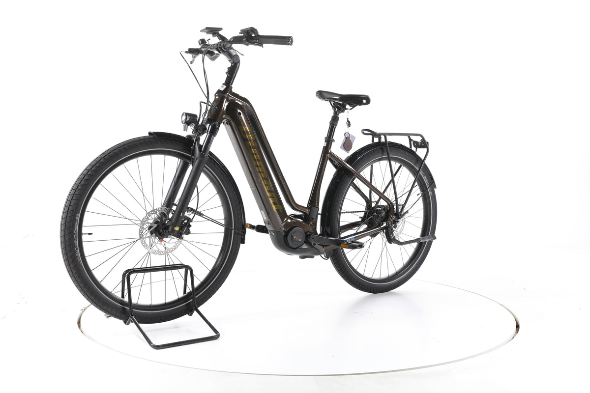 Diamant Opal Esprit City E-Bike Tiefeinsteiger - Image 6