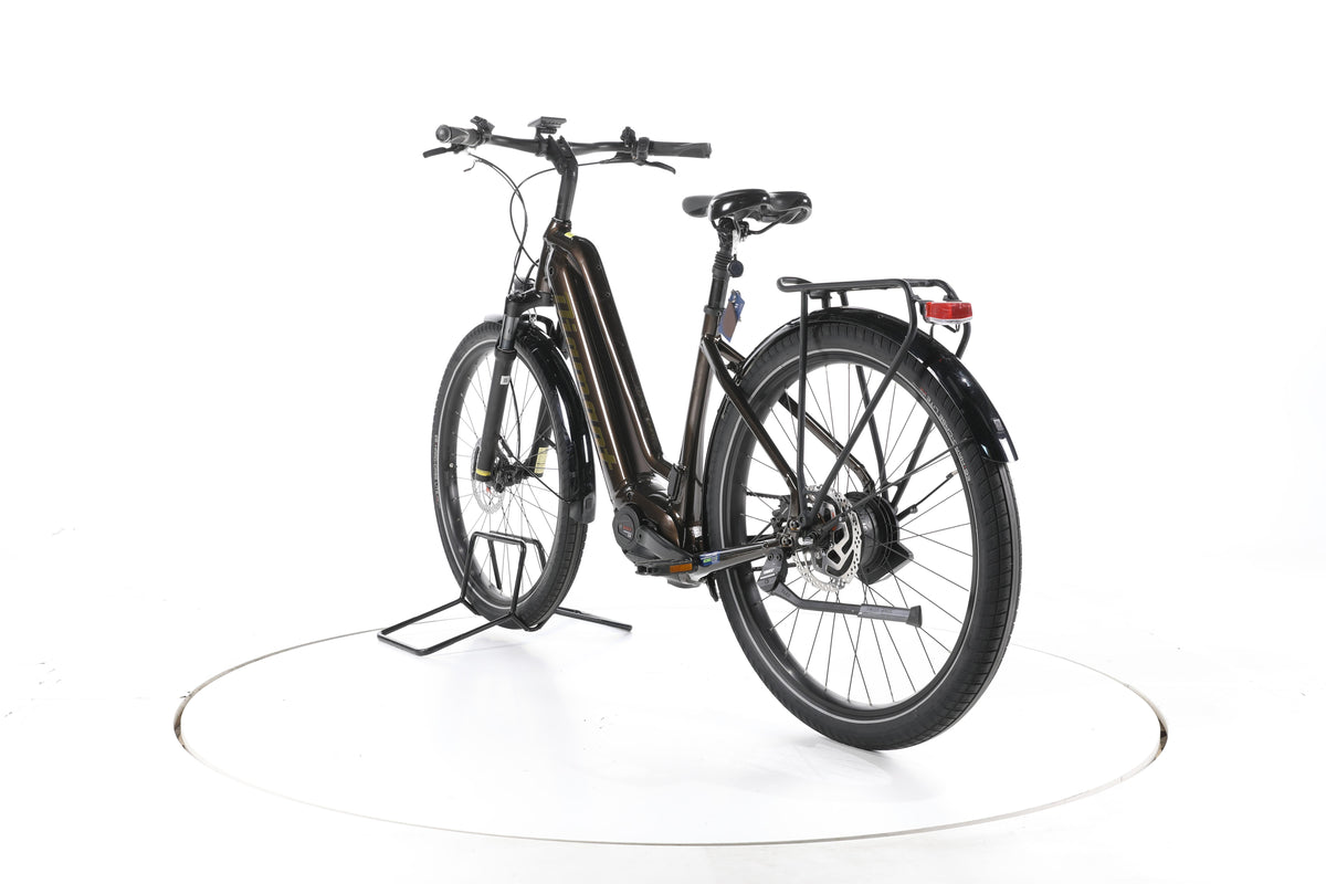 Diamant Opal Esprit City E-Bike Tiefeinsteiger - Image 9