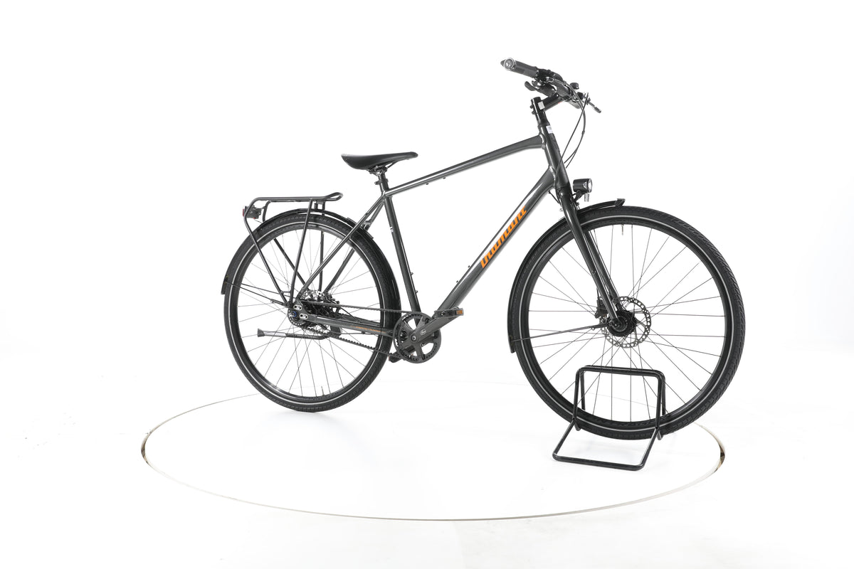 Diamant 247 Deluxe Fahrrad City & Trekking - Image 2