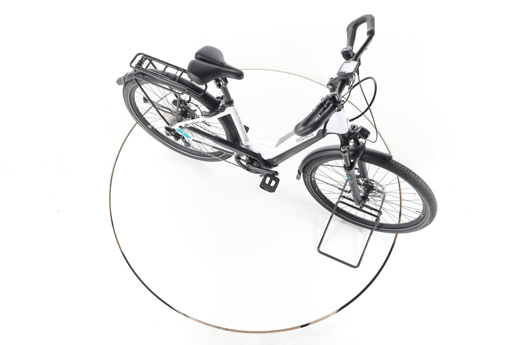 Pegasus Evo Lite 10 Comfort Trekking E-Bike Tiefeinsteiger - Image 14