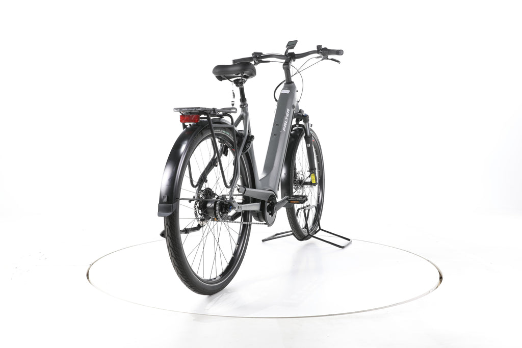 FALTER E 9.4 FL City E-Bike Tiefeinsteiger 2024 - Image 11