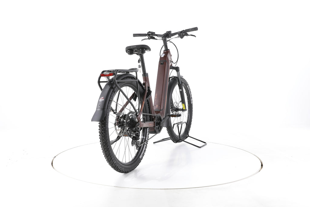 Conway Cairon C 1.0 Trekking E-Bike Tiefeinsteiger 2026 - Image 11