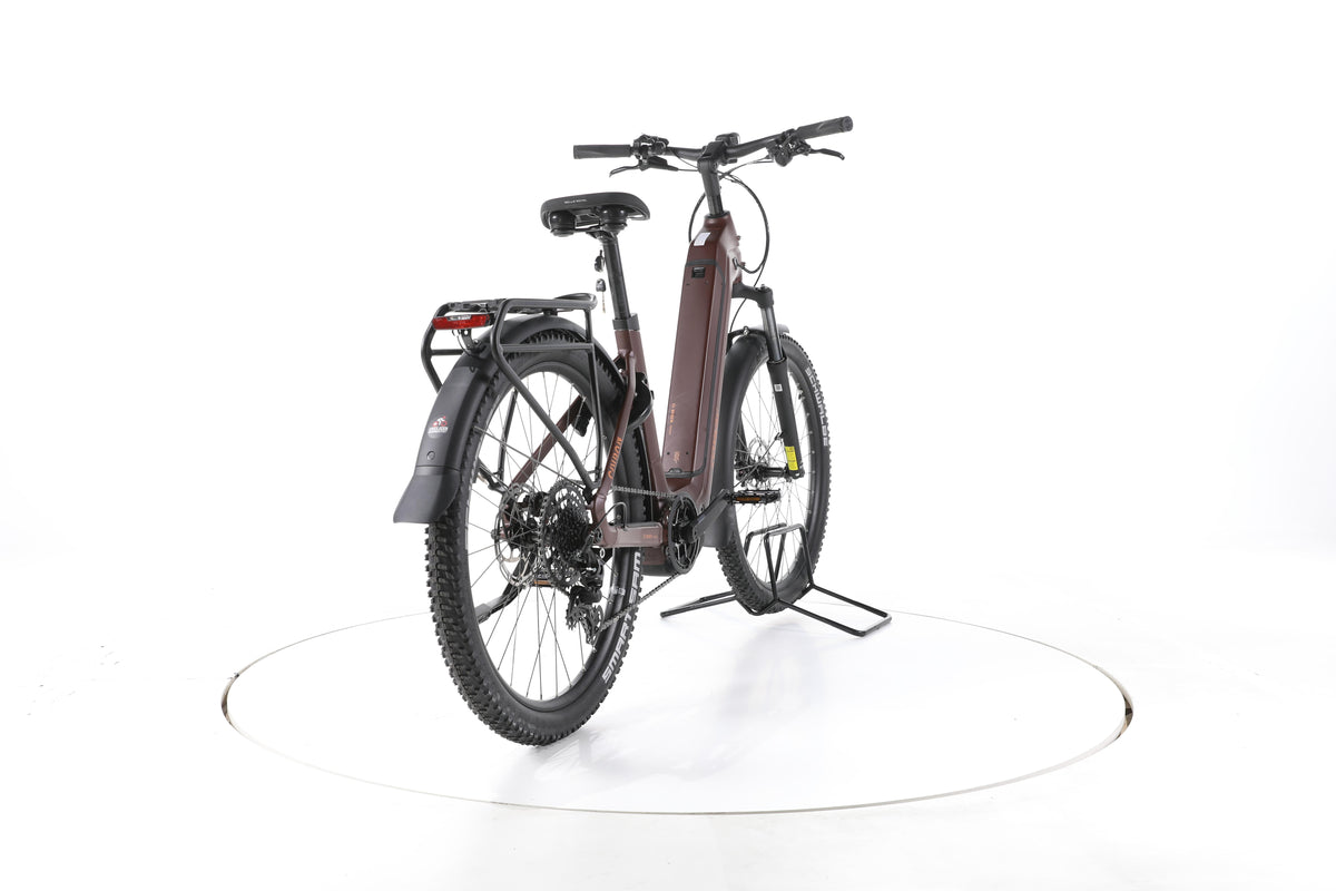Conway Cairon C 1.0 Trekking E-Bike Tiefeinsteiger 2026 - Image 11