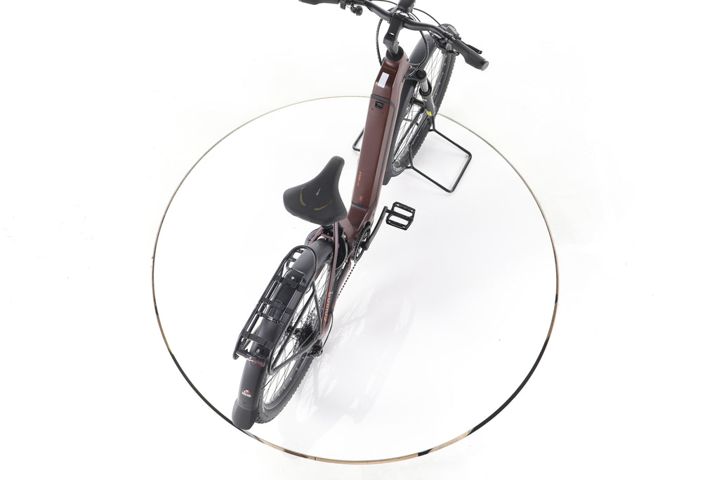 Conway Cairon C 1.0 Trekking E-Bike Tiefeinsteiger 2026 - Image 23