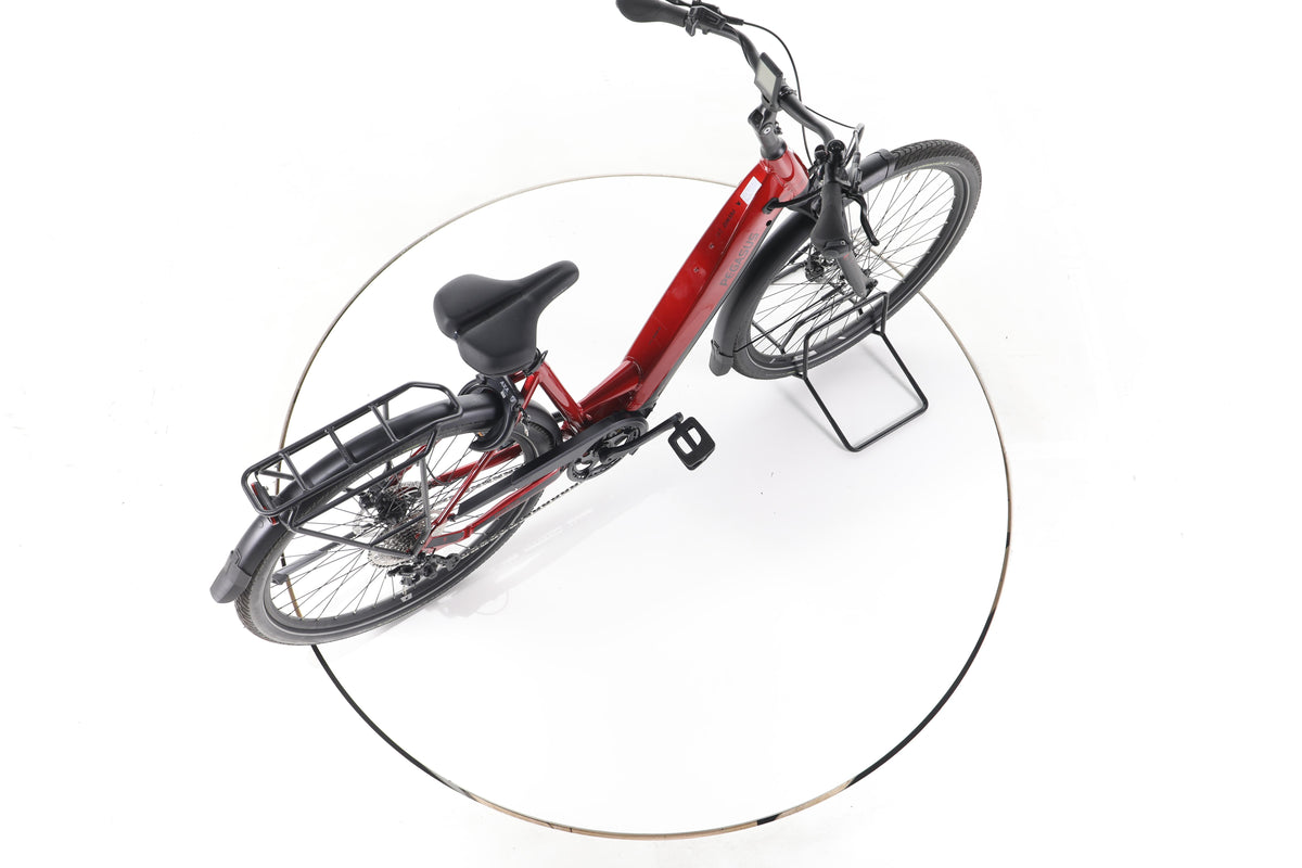 Pegasus Premio Evo 10 Trekking E-Bike Tiefeinsteiger - Image 24