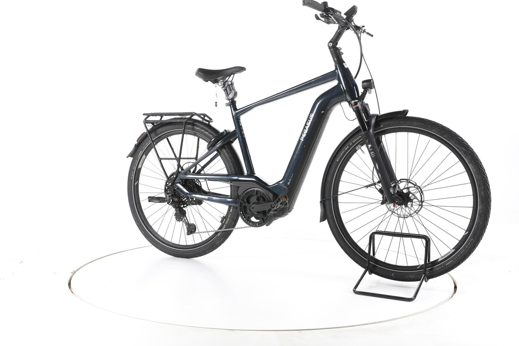 Pegasus Premio EVO 11 Trekking E-Bike - Image 2