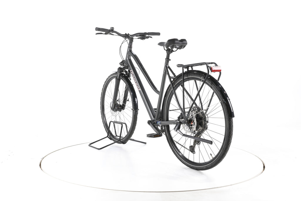 Diamant Elan Grand Deluxe Fahrrad City & Trekking - Image 9
