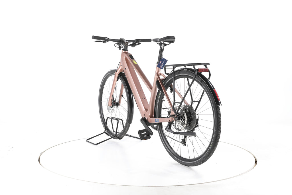 Riese & Müller UBN Seven Touring E-Bike - Image 9