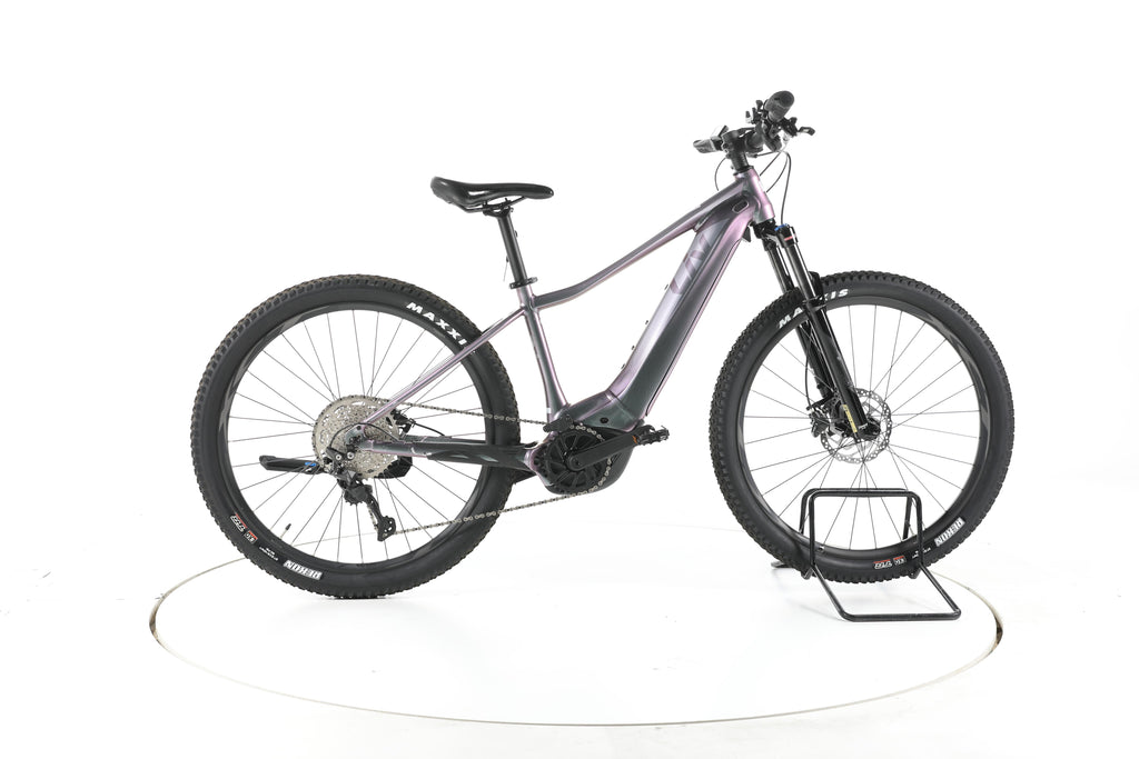 Liv Vall E+2 E-Bike - Image 1