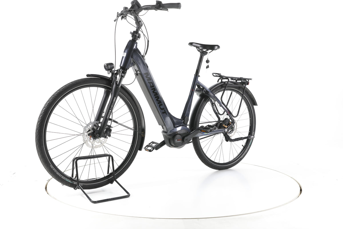 Mammut E-Dition Belt City E-Bike Tiefeinsteiger - Image 6