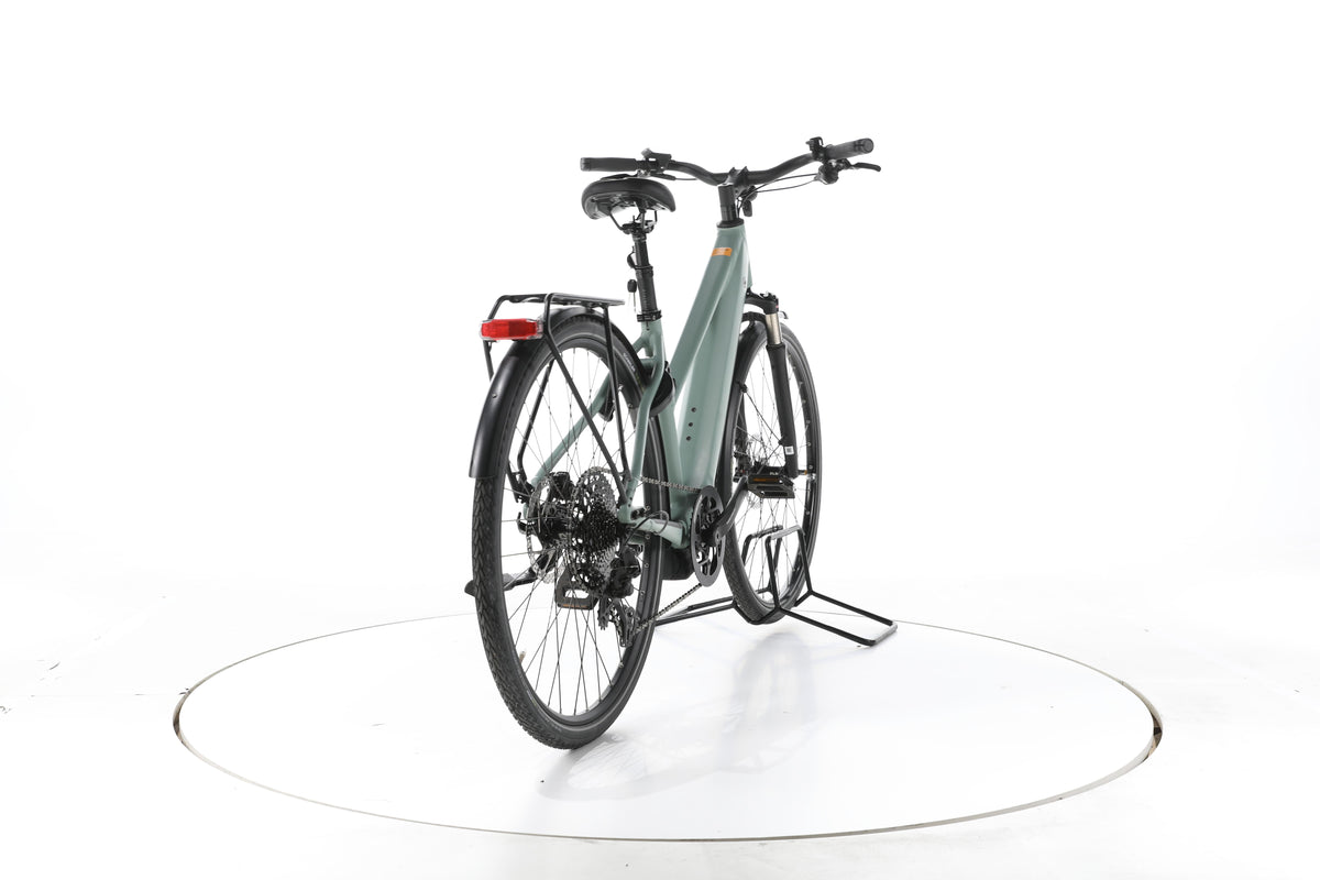 Riese & Müller Roadster Mixte Touring Trekking E-Bike - Image 11