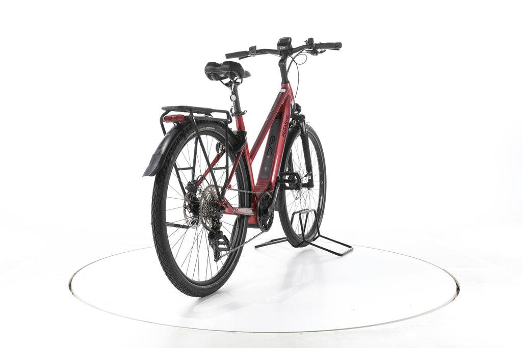 Pegasus Premio EVO 10 Trekking E-Bike - Image 11