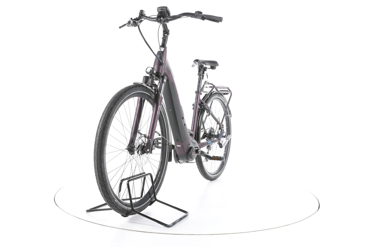 Pegasus Solero EVO 9 Trekking E-Bike Tiefeinsteiger - Image 5
