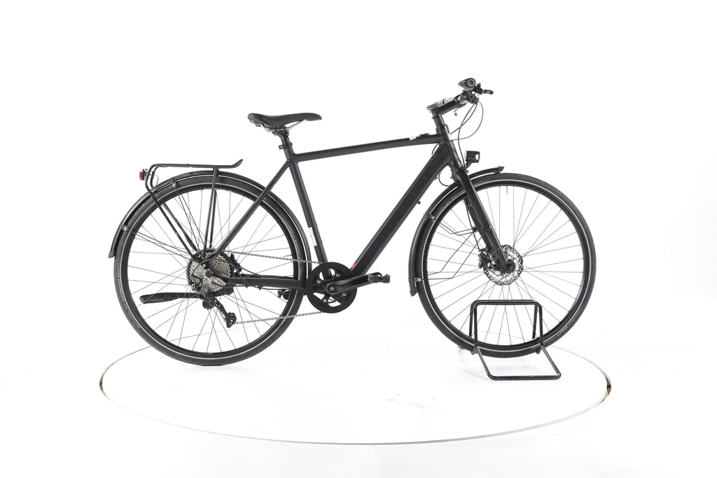 Rabeneick TS-E Trekking E-Bike - Image 1