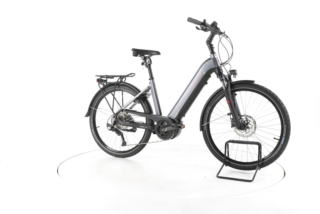 Victoria eTrekking 12.6 Trekking E-Bike Tiefeinsteiger - Image 2
