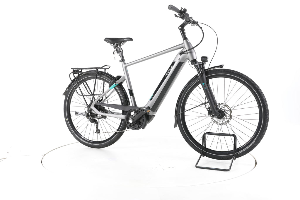 Pegasus EVO CX ,silber,55cm Trekking E-Bike - Image 2