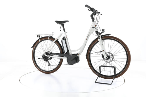 2R Manufaktur EBI 9 Trekking E-Bike Tiefeinsteiger - Image 2