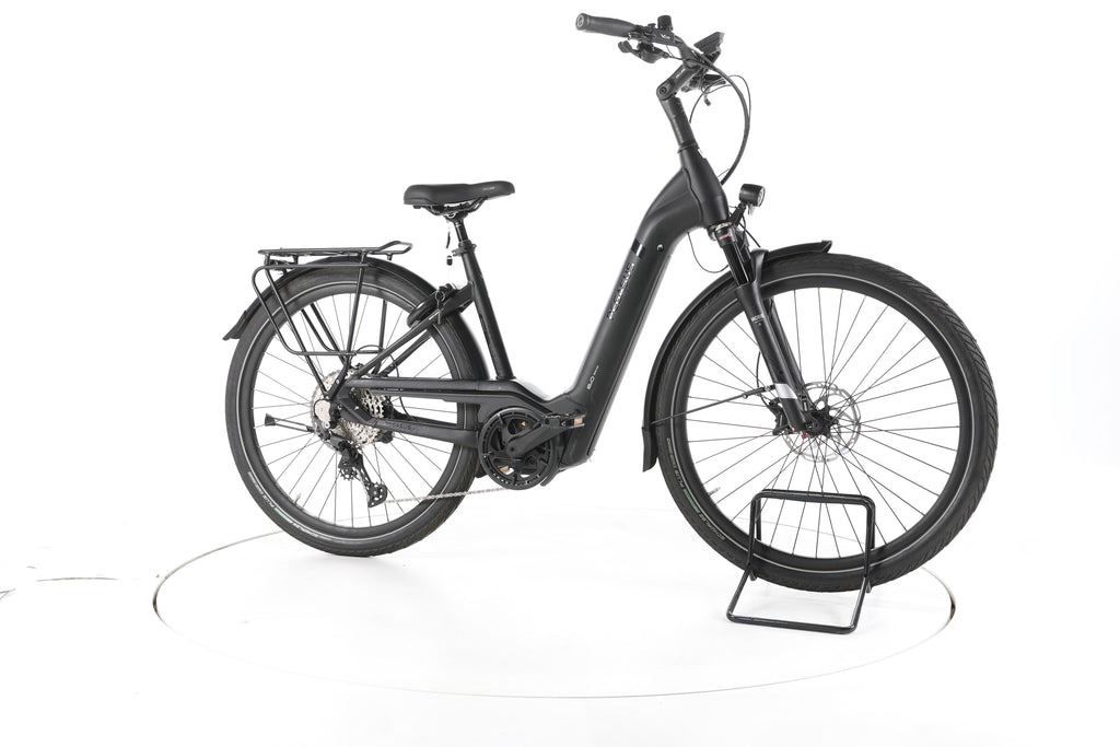Pegasus Strong Evo 12 Lite Trekking E-Bike Tiefeinsteiger - Image 2