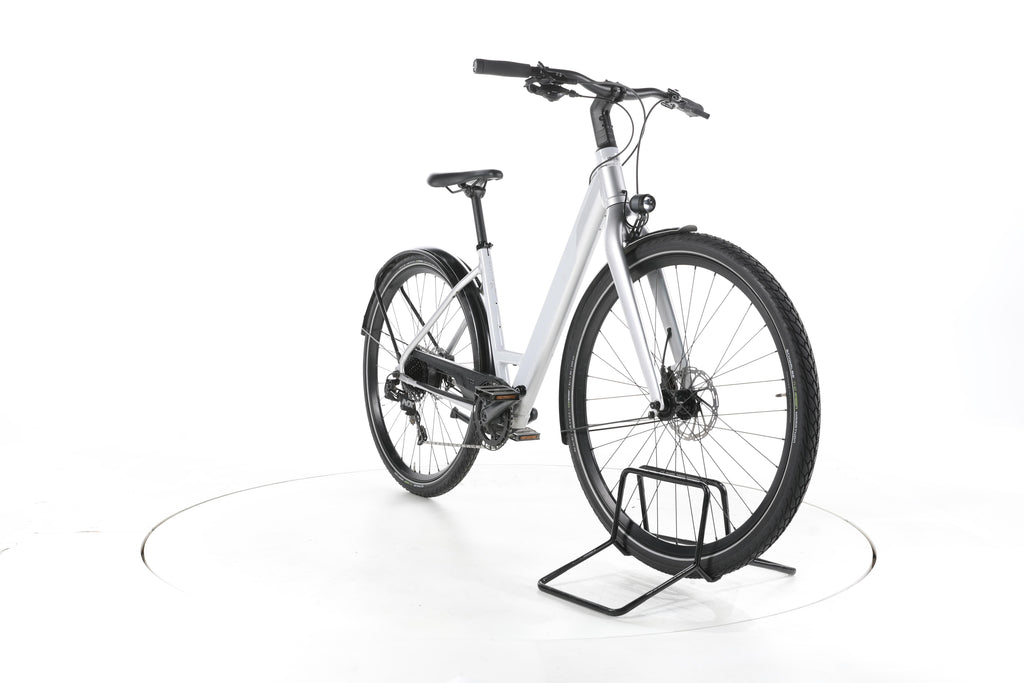Coboc Kallio RGD Trekking E-Bike Tiefeinsteiger - Image 3