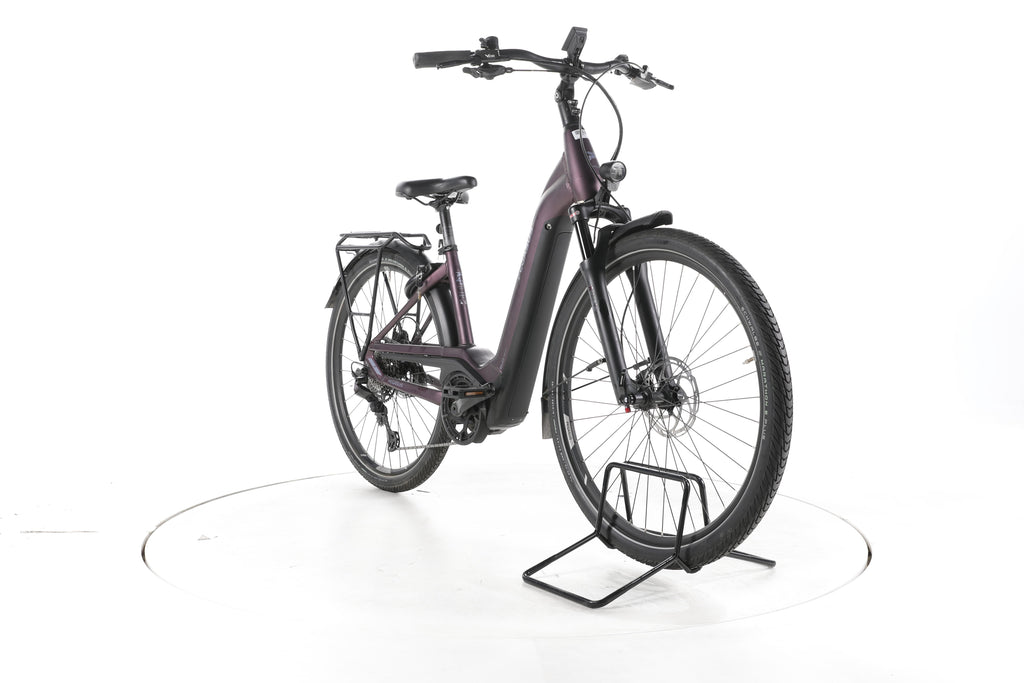 Pegasus Premio EVO 11 "40 Years" Trekking E-Bike Tiefeinsteiger - Image 3
