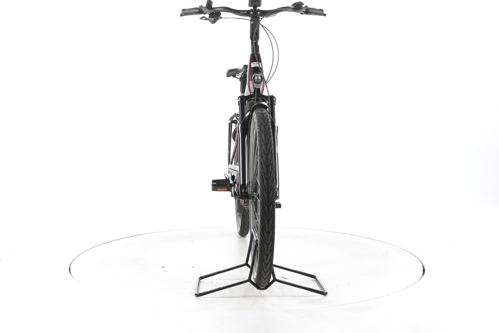 Pegasus Strong Evo 10 Lite Trekking E-Bike Tiefeinsteiger 2024 - Image 4