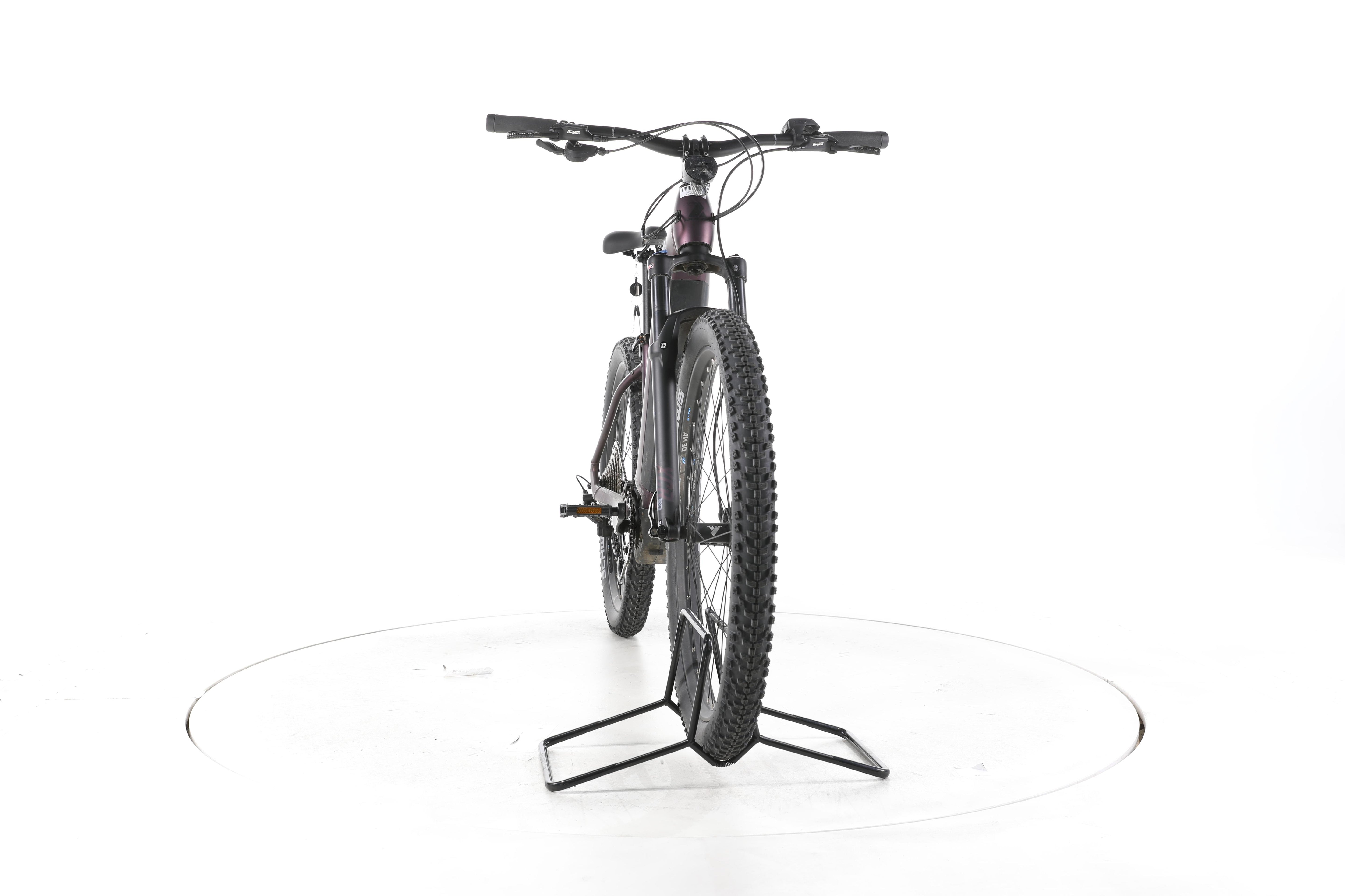 Bulls Aminga EVA 2 E-Bike - Image 4