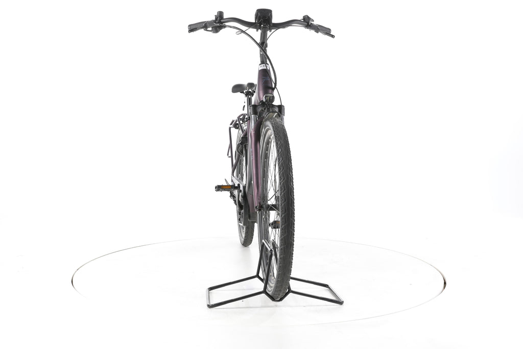 Pegasus Solero EVO 9 Trekking E-Bike Tiefeinsteiger - Image 4
