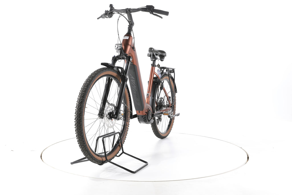Conway Cairon C 2.0 Trekking E-Bike Tiefeinsteiger 2025 - Image 5