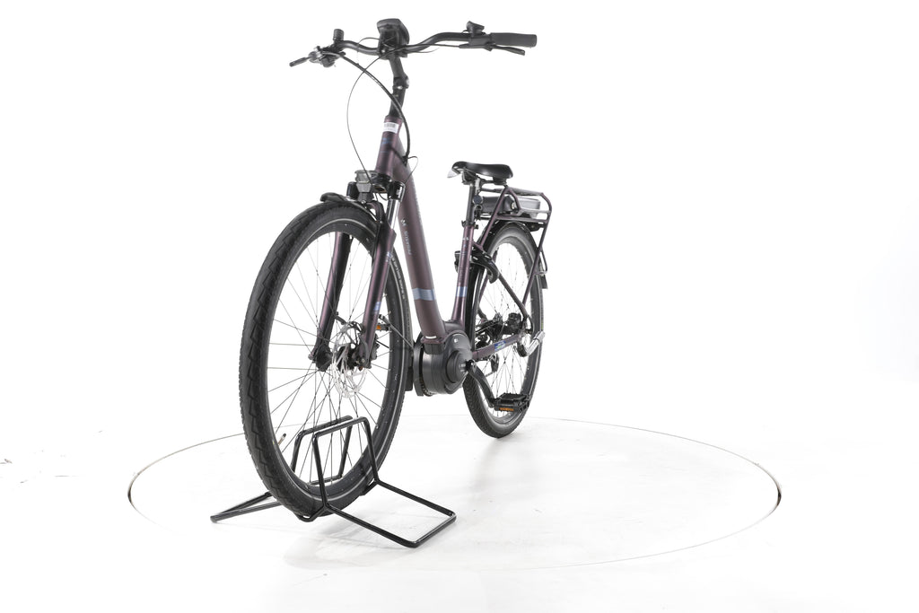 Pegasus Solero E8 Plus Trekking E-Bike Tiefeinsteiger - Image 5