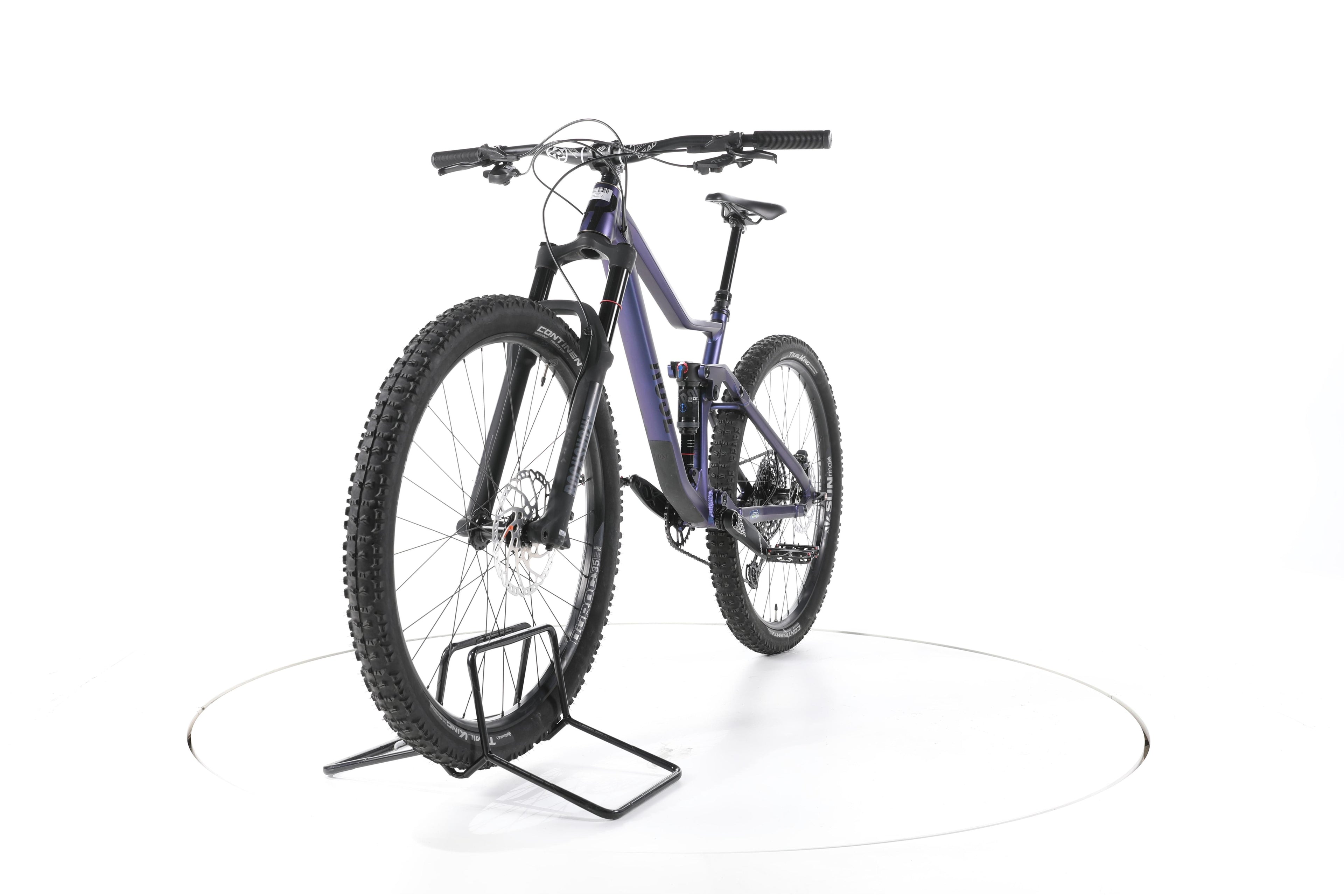 Rose Root Miller 1 - Image 5