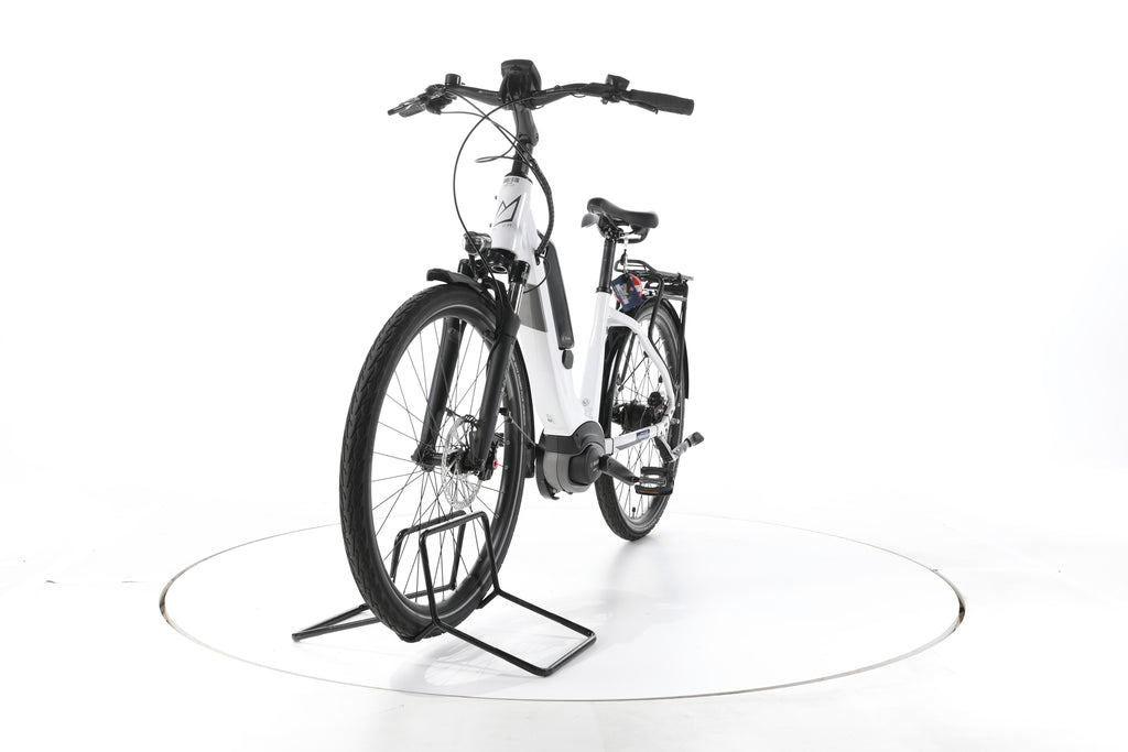 FALTER E 9.0 FL City E-Bike Tiefeinsteiger - Image 5