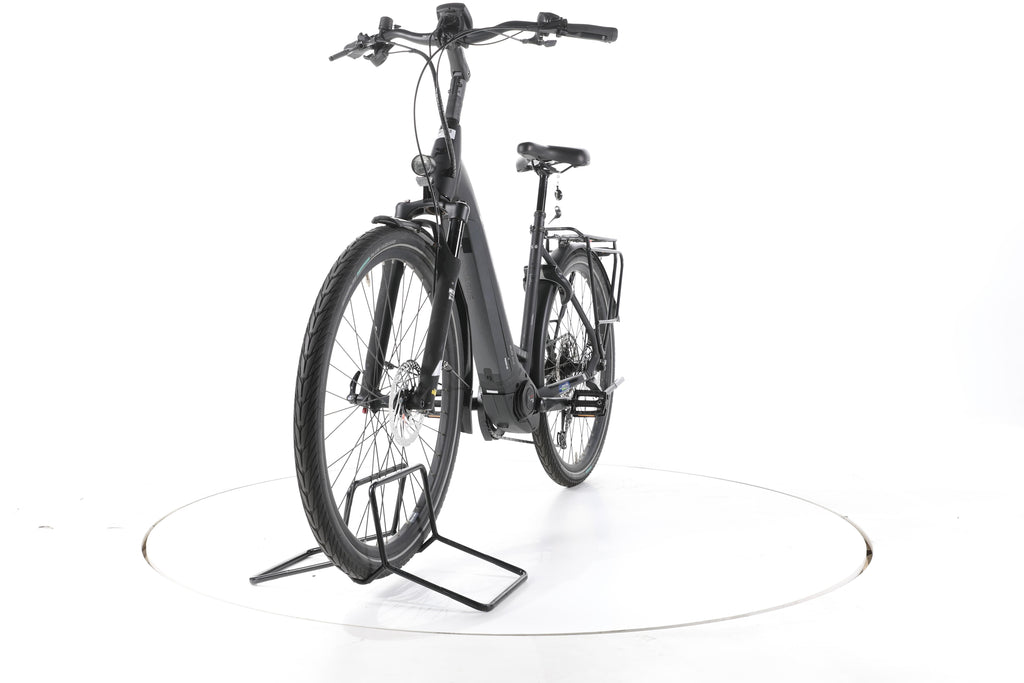 Pegasus Strong EVO 12 Lite Trekking E-Bike Tiefeinsteiger - Image 5
