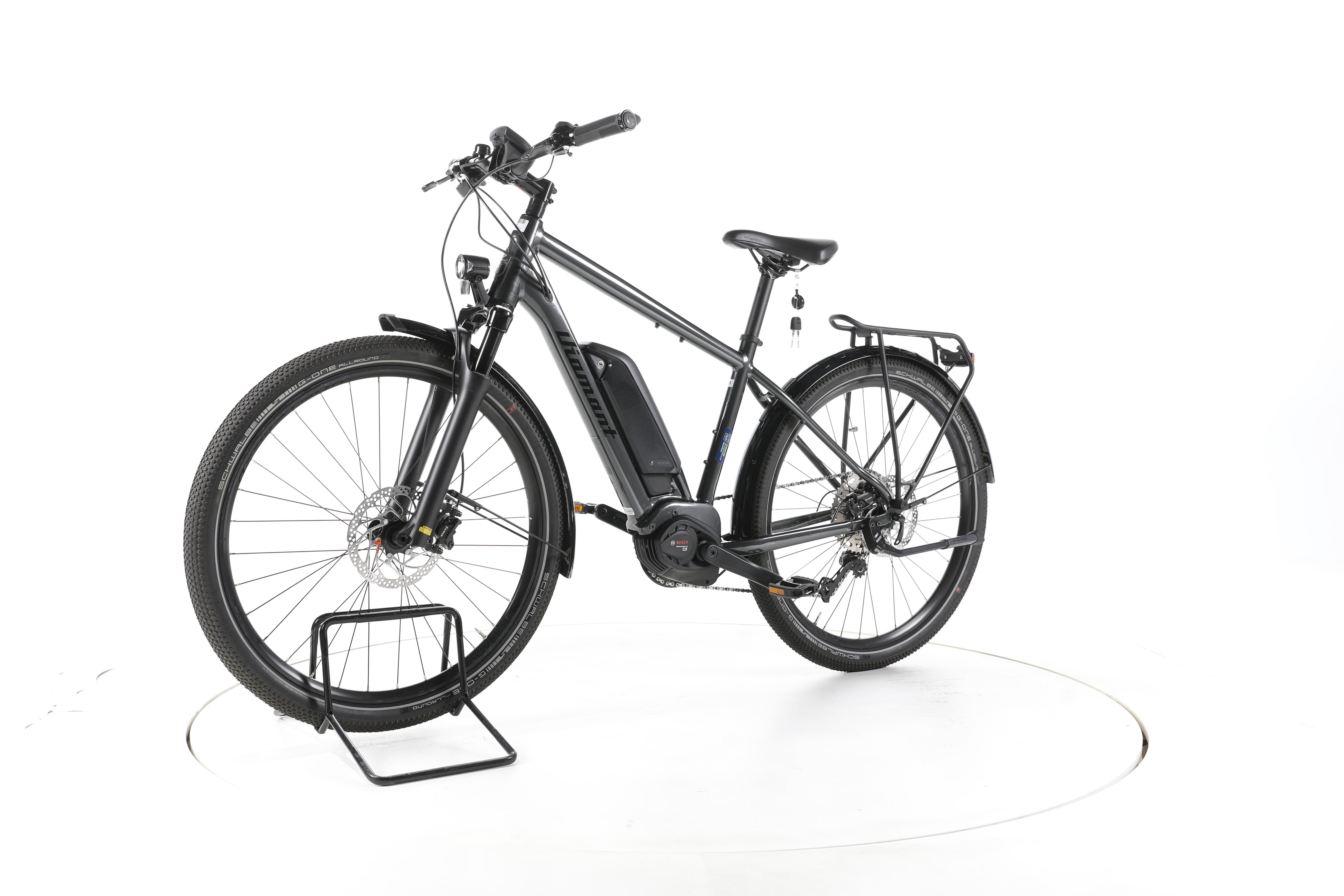 Diamant Zing Deluxe+ Gen 1 Trekking E-Bike - Image 6