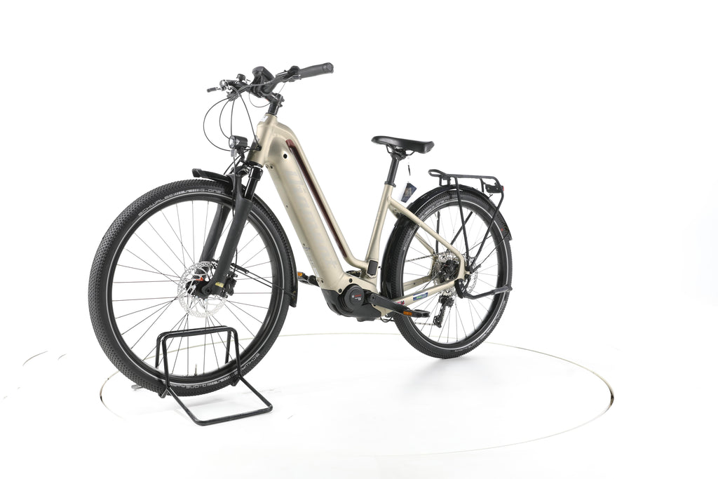 Diamant Zouma Deluxe+ Trekking E-Bike Tiefeinsteiger - Image 6