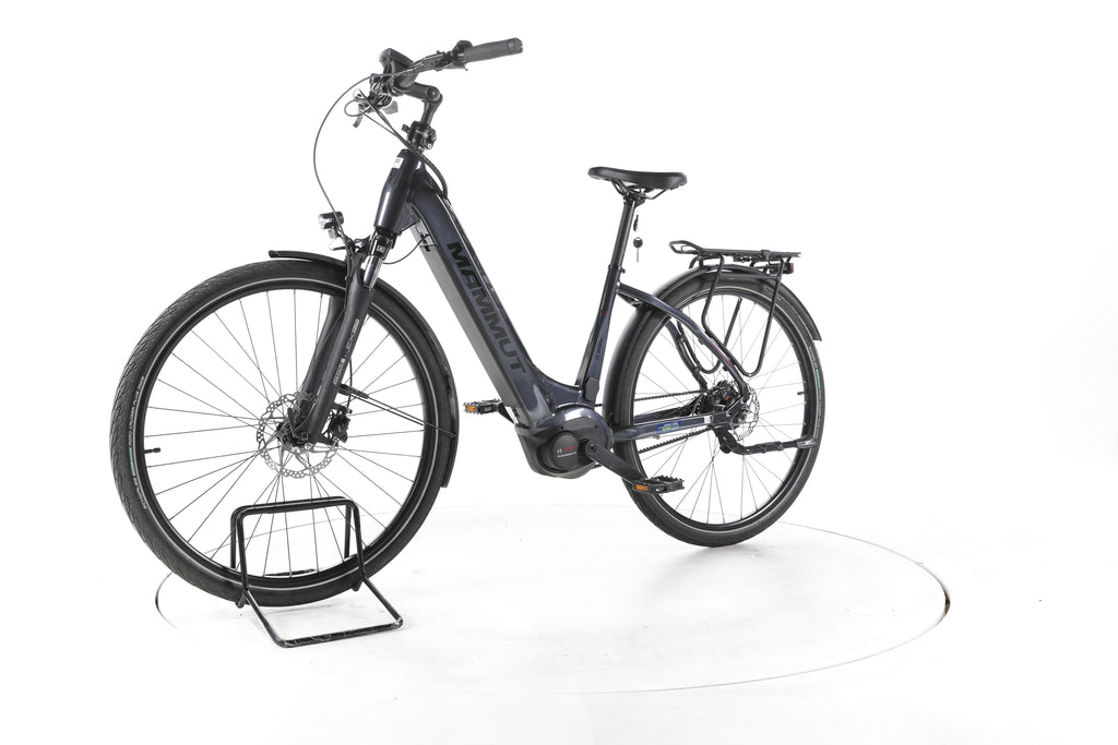 Mammut E-Dition 5 City E-Bike Tiefeinsteiger - Image 6