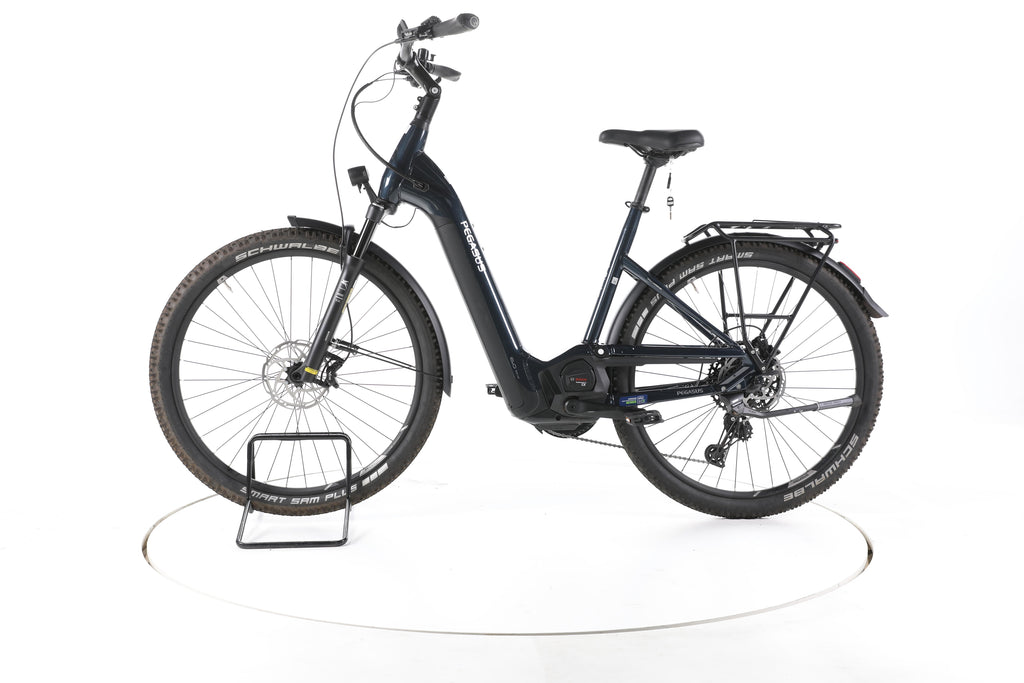 Pegasus Premio EVO 11 " 40 Years" Trekking E-Bike Tiefeinsteiger - Image 7