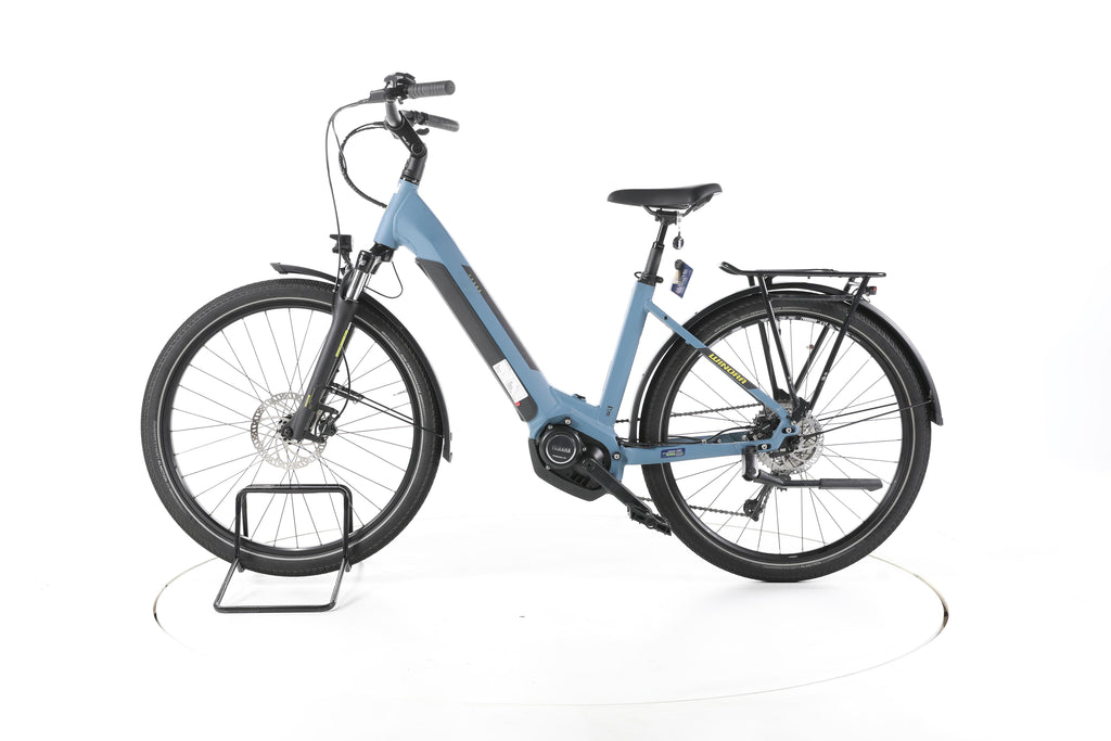 Winora TY200 Trekking E-Bike Tiefeinsteiger - Image 7