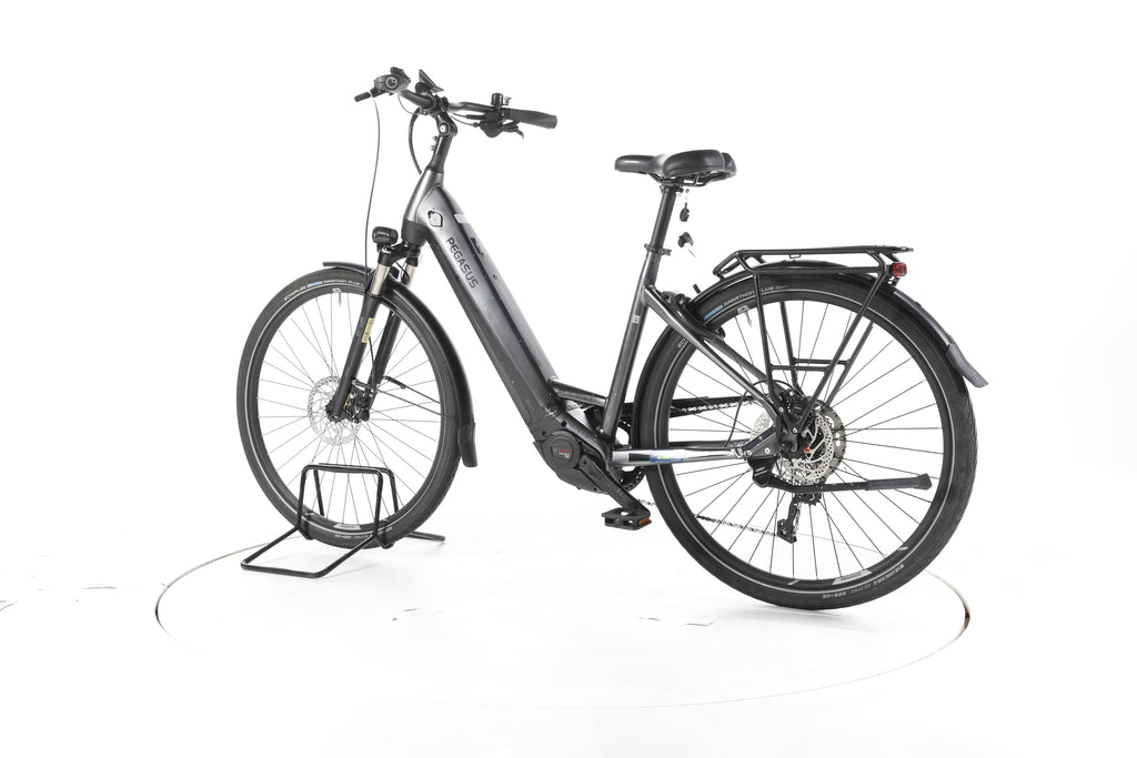 Pegasus Premio Evo 10 Lite Trekking E-Bike Tiefeinsteiger - Image 8