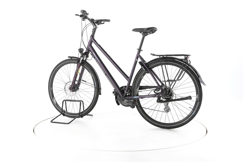 Pegasus Savona SL Disc 24 Fahrrad City & Trekking - Image 8