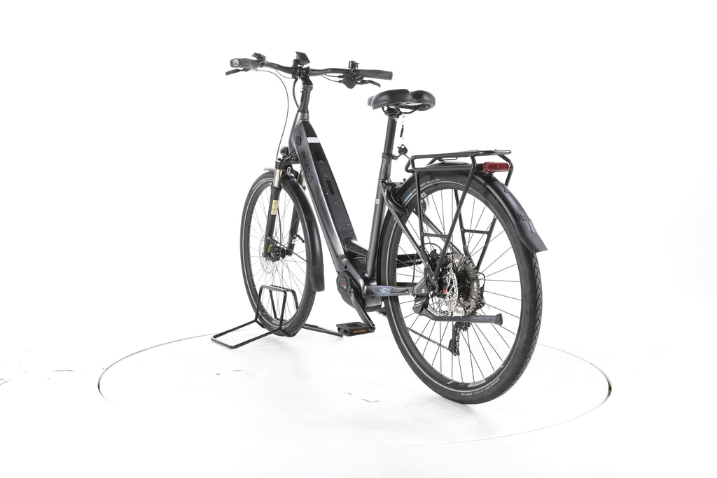 Pegasus Premio Evo 10 Lite Trekking E-Bike Tiefeinsteiger - Image 9