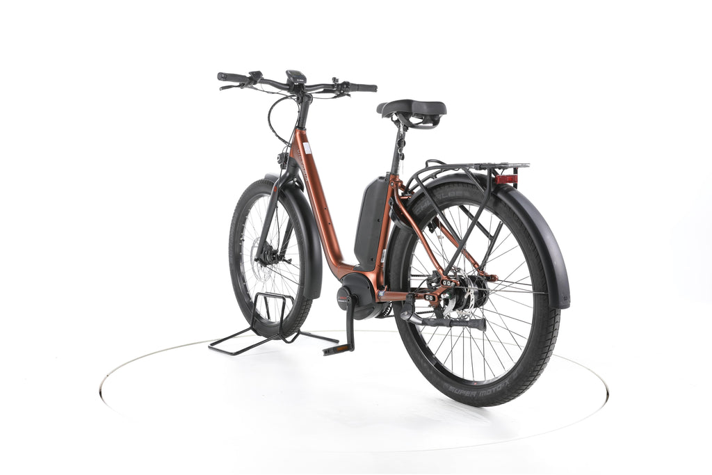 Victoria (e)Urban 11.8 City E-Bike Tiefeinsteiger - Image 9