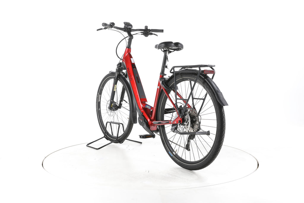 Pegasus Premio Evo 10 Lite Trekking E-Bike Tiefeinsteiger - Image 9