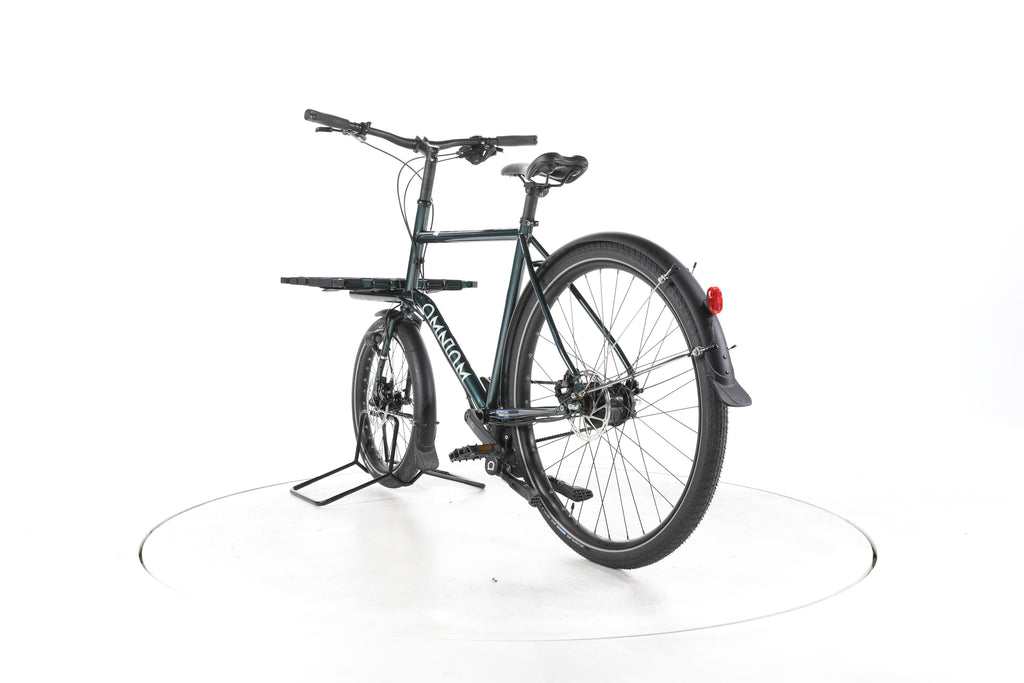 Omnium Mini S Forrest Green Lastenrad - Image 9