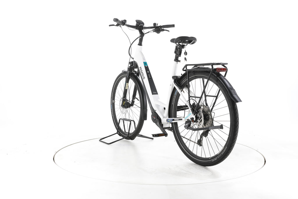 Pegasus Premio Evo 10 Lite Trekking E-Bike Tiefeinsteiger - Image 9