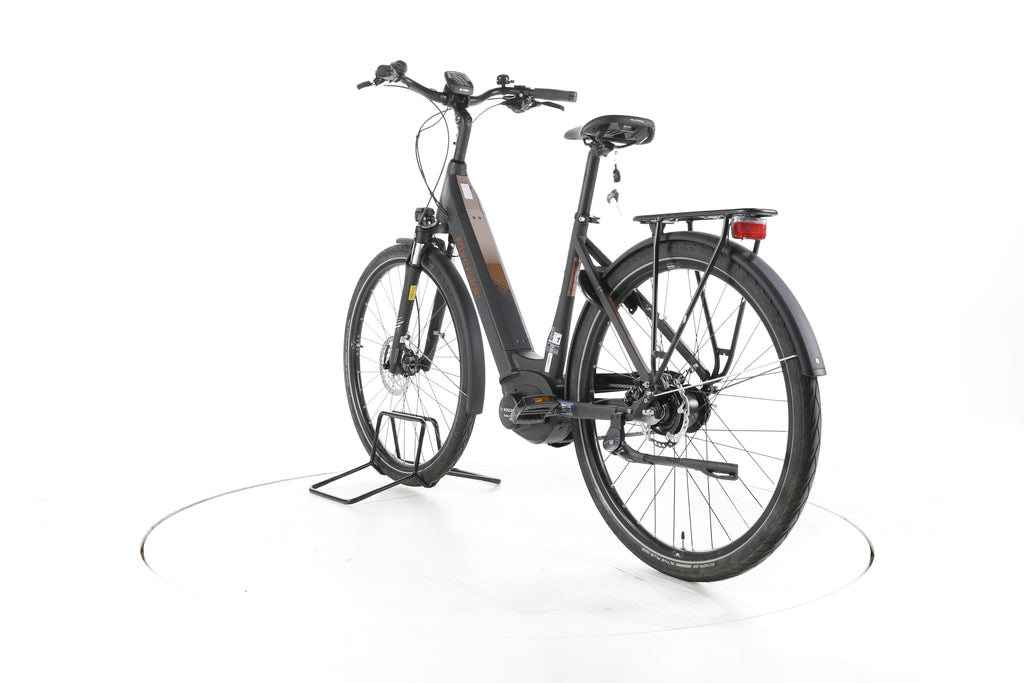 RIVERSIDE EC900 Trekking E-Bike Tiefeinsteiger - Image 9