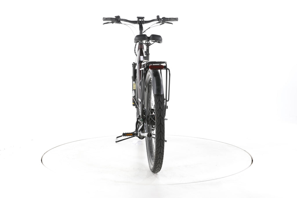 Pegasus Strong EVO 5F City E-Bike Tiefeinsteiger - Image 10