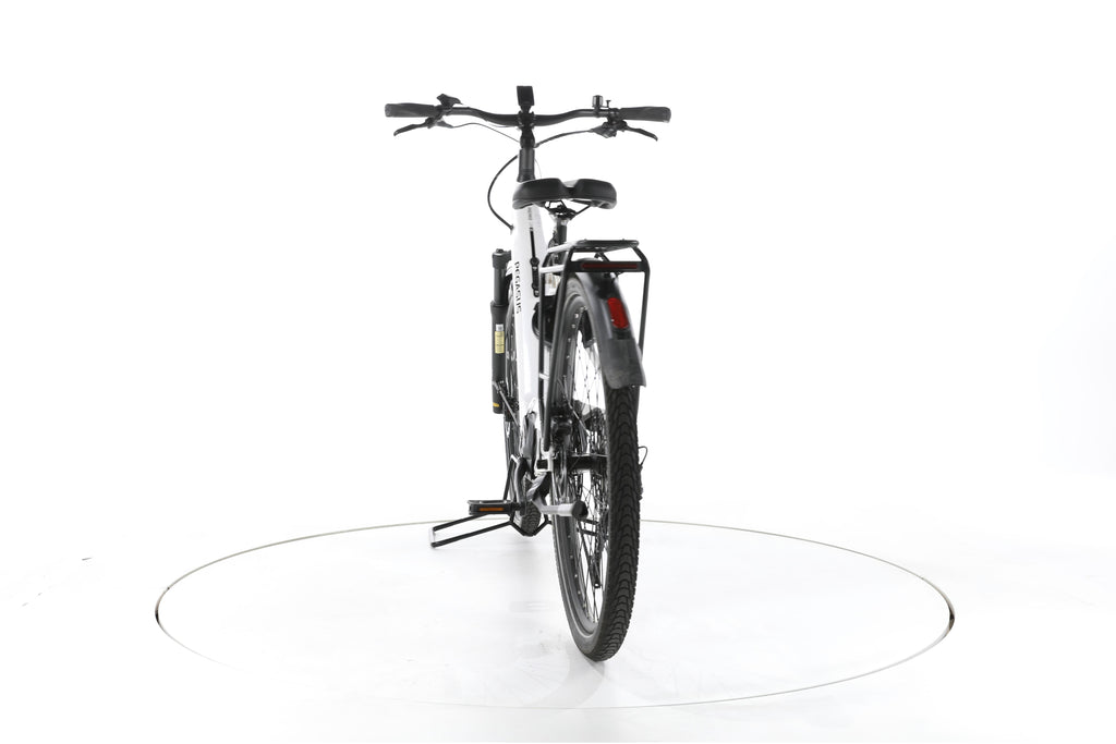 Pegasus Premio EVO 11 "40 Years" Trekking E-Bike Tiefeinsteiger 2023 - Image 10